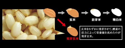 発芽玄米