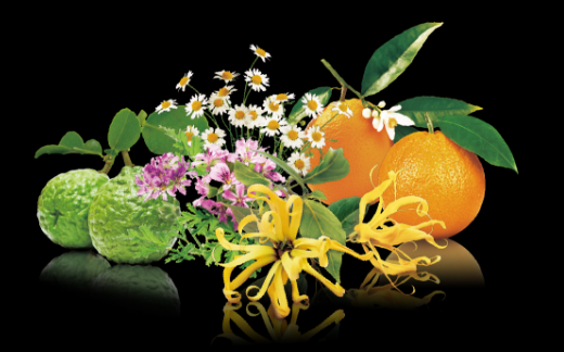 レンジやベルガモットなどのみずみずしい柑橘類の香りとイランイランやニオイテンジクアオイ(ゼラニウム)、ローマカミツレ