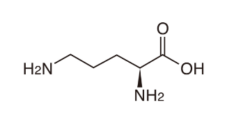 L-オルニチン