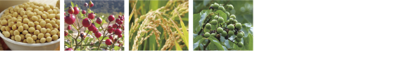 「アスタキサンチン※」など6種類の植物