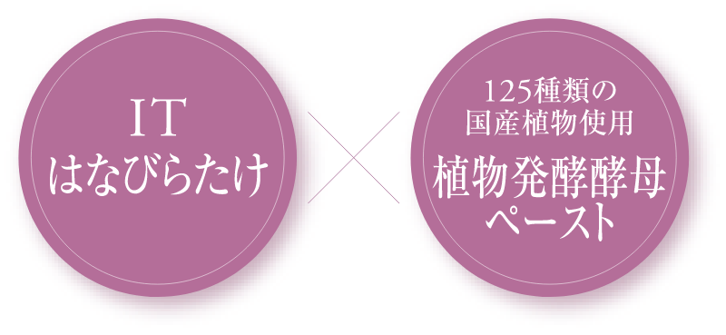 ITはなびらたけ 124種類の国産植物使用 植物発酵酵母ペースト