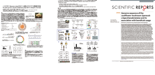 ① 2018年 日本分子生物学会 学会発表資料 ② 2017年 日本分子生物学会 学会発表資料 ③ 英国ネイチャー系のオープンライブラリーであるサイエンティフィックレポートに掲載されたITはなびらたけの論文