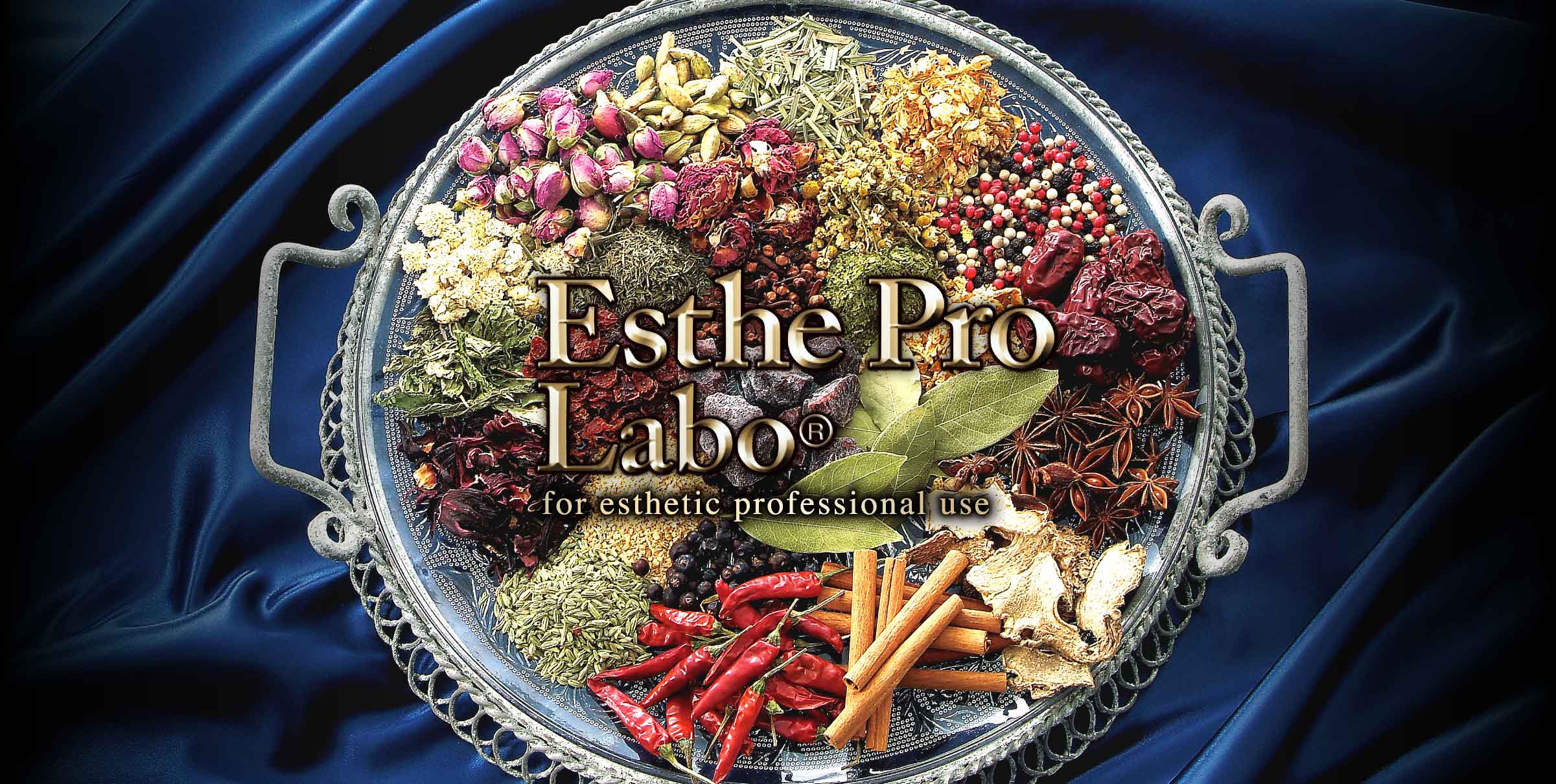 Esthe Pro Labo® ブランドサイトリニューアルのお知らせ | エステプロ