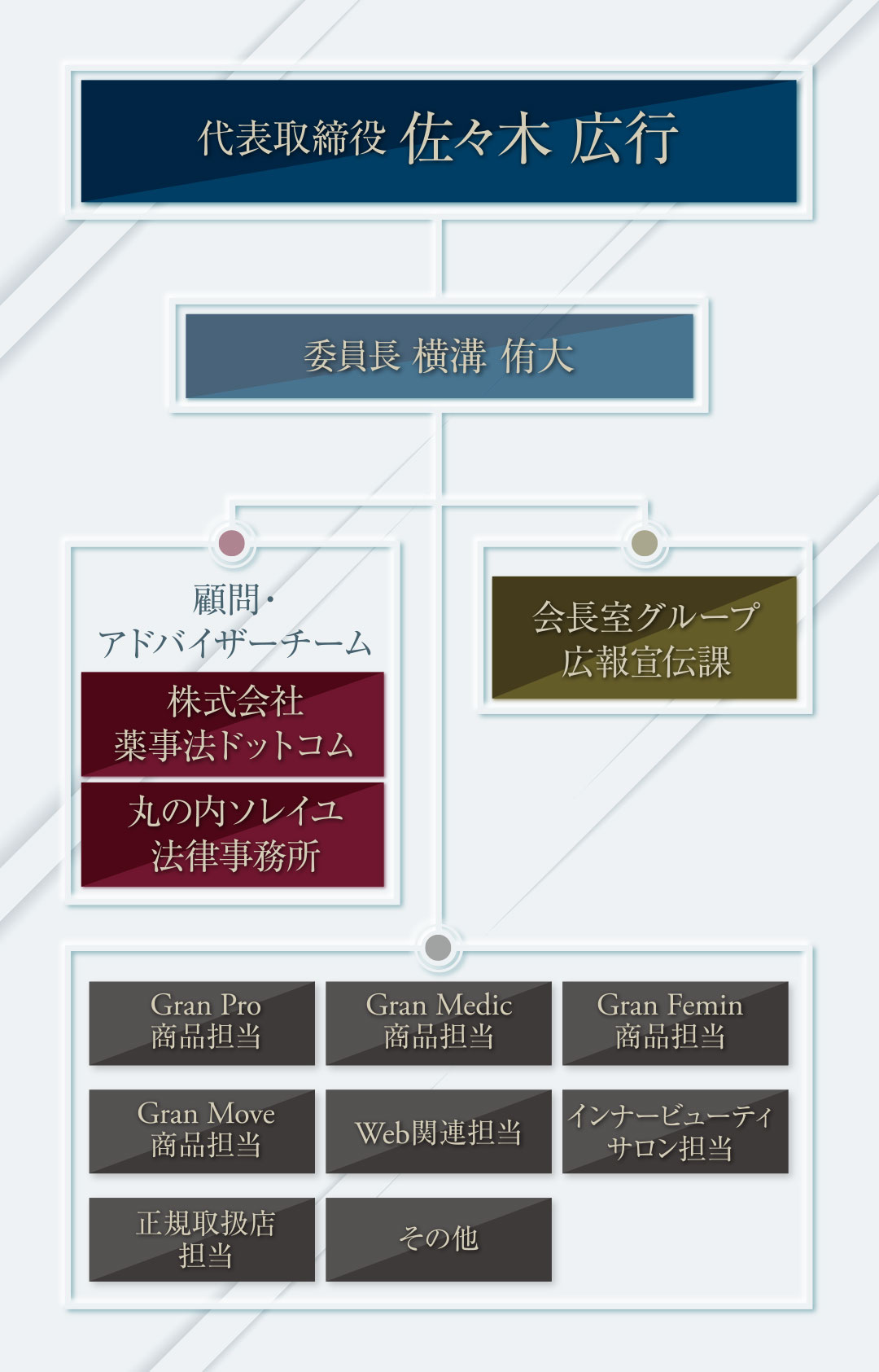 広告表現コンプライアンス委員会 組織図