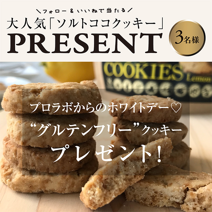 大人気！「ソルトココクッキー」モニターキャンペーン開催