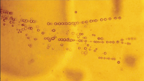 水分子の比較