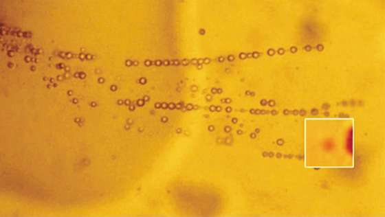 水分子の比較