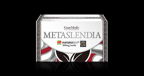 メタスレンディア(METASLENDIA)