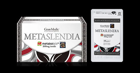 メタスレンディア(METASLENDIA)