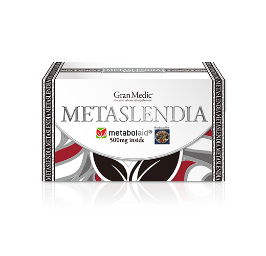 メタスレンディア(METASLENDIA)