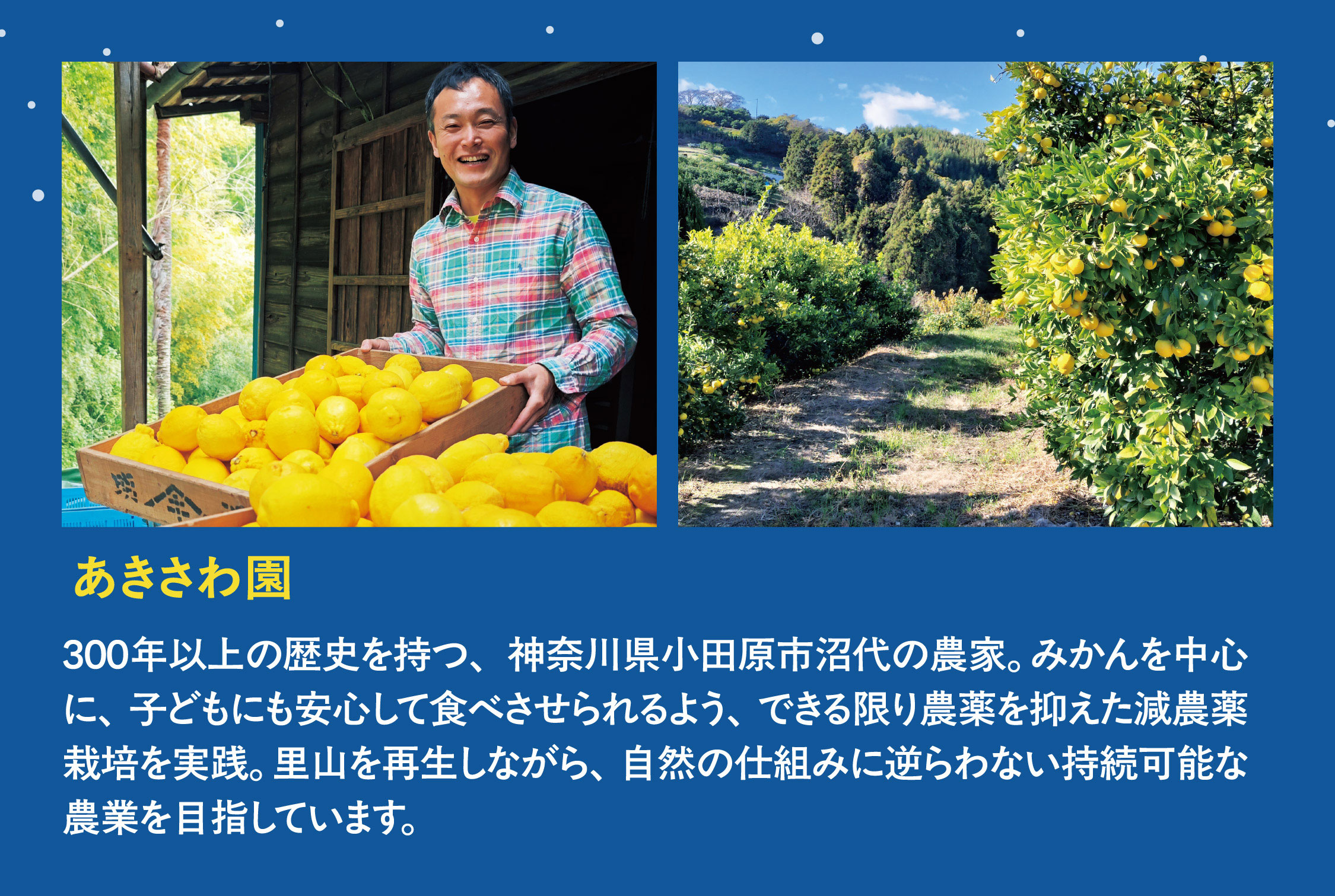 あきさわ園